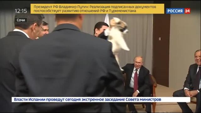 Бердымухамедов подарил Путину алабая по кличке Верный