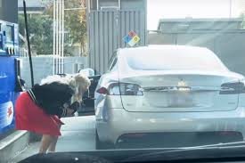 Интересное видео Блондинка пытается заправить Tesla бензином
