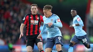 Premier League 2018/19 Bournemouth-Newcastle United 2-2 Highlight...