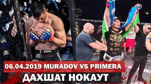 Интересное видео MMA | Mahmud Muradov (UZB) & Tato Primera (Esp) | XFN | 07/04/2019
